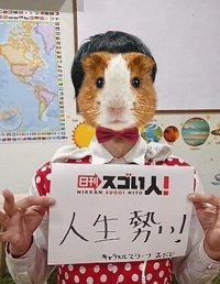 ハンドリング　亀頭責め専門店　紫織しおり