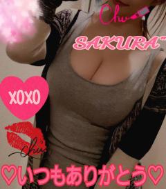 MICHELIN ミシュラン　サクラSakura