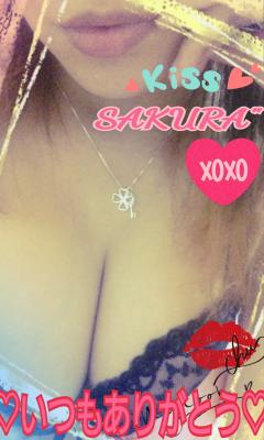 MICHELIN ミシュラン　サクラSakura