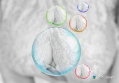 鶴富屋敷　ヒナ、(癒しの女王)