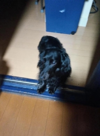 待ちナビ　せいこ