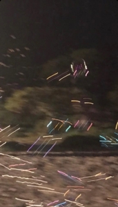 TheGrandPhoenix　りあん※完全無欠の期待の新人