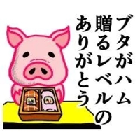 amazing（アメイジング）　ひめか❀