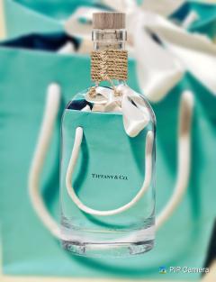 鶴富屋敷　ヒナ、(癒しの女王)