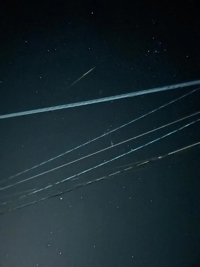 鹿児島ちゃんこ 霧島店　せな