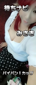待ちナビ　みさき