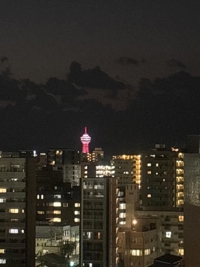 待ちナビ　こゆき