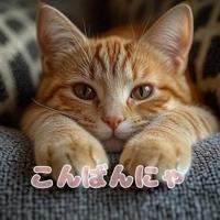 待ちナビ　ひろか