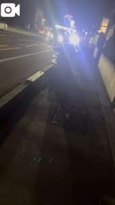 宮崎ちゃんこ都城店　こはる