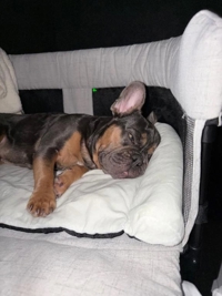 EXE【都城本店】　せりか