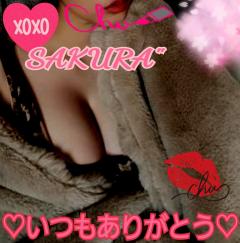 MICHELIN ミシュラン　サクラSakura