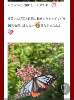 JaPON　環菜ｶﾝﾅ