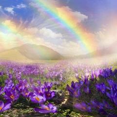 Spica(すぴか)　★ラン★超淫乱美女降臨