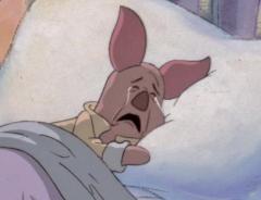 鹿児島ちゃんこ薩摩川内店　きなこ