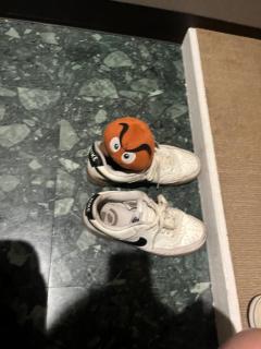 CLUB LUMINE　Haru【ハル】