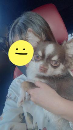 Buddy　あ～ん♡いくちゃん☆エロさ満開☆