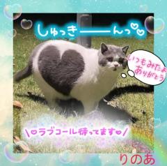 ぽちゃカワましゅまろ～GRINDグループ～　りのあ(都城店)