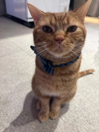 沖縄ハイブリッドエステ　みすず