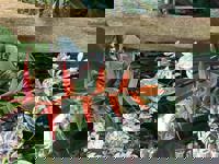 大人の遊園痴「スピーディー」　りつ（敏感で癒し系）