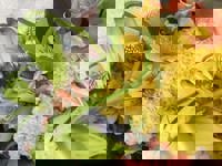 大人の遊園痴「スピーディー」　りつ（敏感で癒し系）