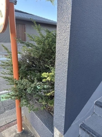 待ちナビ　ひなた