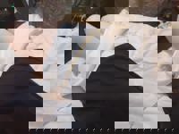 大人の遊園痴「スピーディー」(宮崎市) らむ（全てに興味あり）