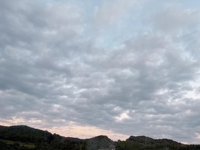 宮崎ちゃんこ都城店　くぅ