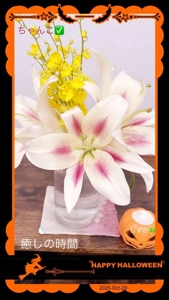 鹿児島ちゃんこ 霧島店　しずか