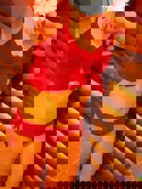 LOHAS(ロハス)　新人みな