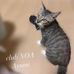 clubNOA ◆あゆみ◆