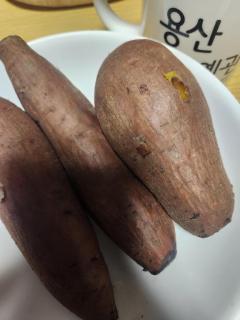 ぽちゃカワましゅまろ～GRINDグループ～　かな(都城店)