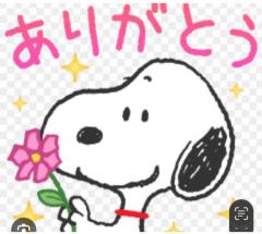 CLUB LUMINE　Haru【ハル】