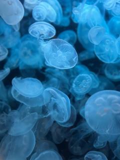 エンタメGR ゆりこ