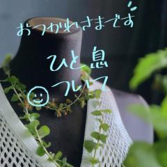 JaPON　新人真子ﾏｺ