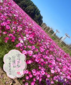 鹿児島天文館デリヘルLOVEVE～ラヴィーヴ～　りほ☆勝ち確キレカワお姉さん☆