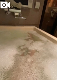 ギャルサー　小春