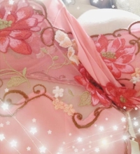 鹿児島ちゃんこ 霧島店　すみれ