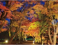 待ちナビ　まお