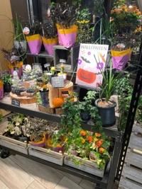 待ちナビ　ゆうか