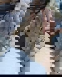 harmonyハーモニー　かおるこ(kaoruko)