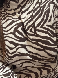 宮崎ちゃんこ都城店　れいか