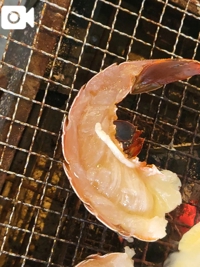 EXE【都城本店】　みさき