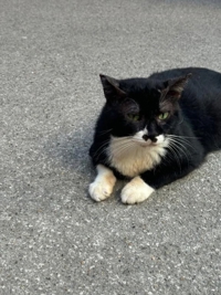 沖縄ハイブリッドエステ　みすず