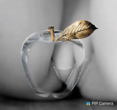 鶴富屋敷　ヒナ、(癒しの女王)