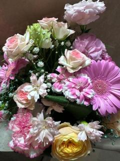 キャンディ　ラナ