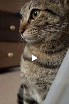 La Rouge　麗【れい】