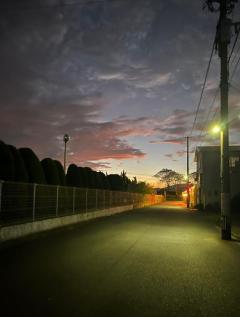 MANIN-ONREIマン淫御礼　風月（ふづき）色白巨乳美人