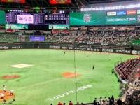 待ちナビ　ゆうか