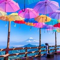 待ちナビ　みゆ