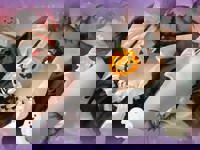 宮崎ちゃんこ中央通店　みく